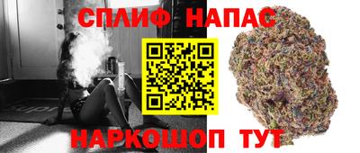 прущие грибы Ликино-Дулёво
