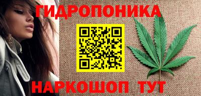 прущие грибы Ликино-Дулёво