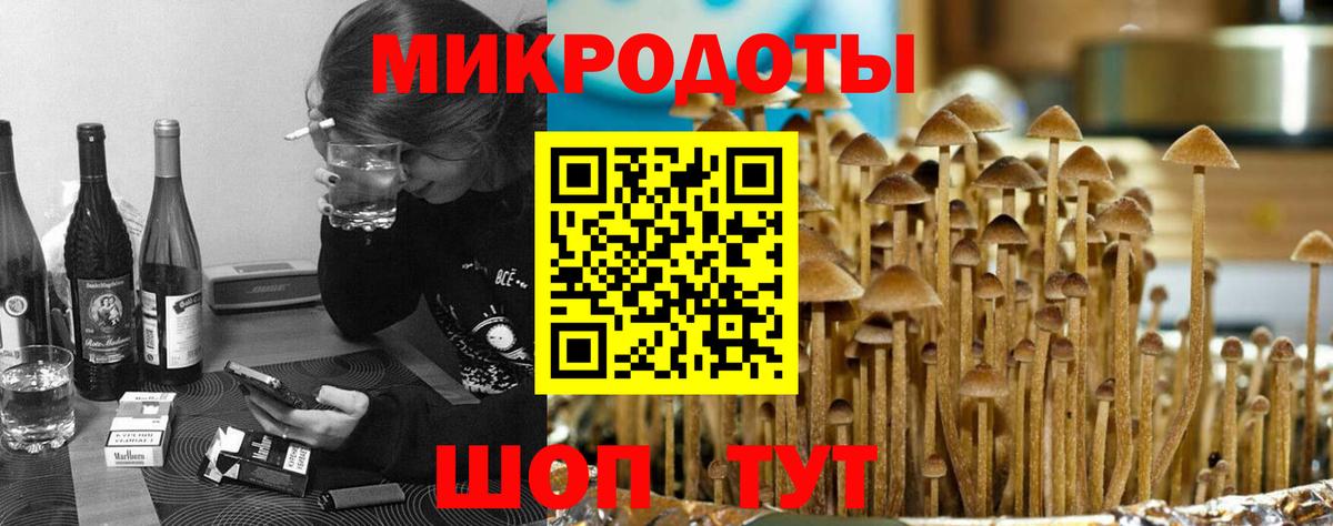 Галлюциногенные грибы ЛСД Вышний Волочёк